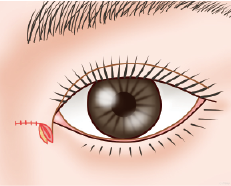 手順04：下方へ移動させます。